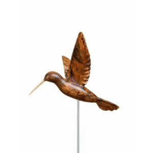 Pinú M